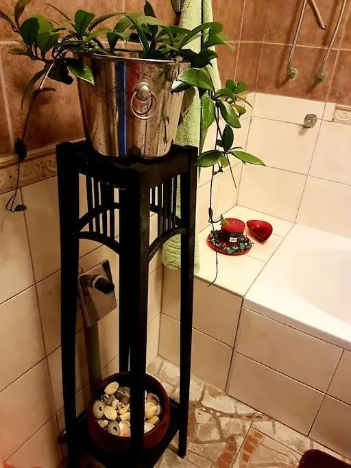 Zelena Oaza Apartment Skrljevo